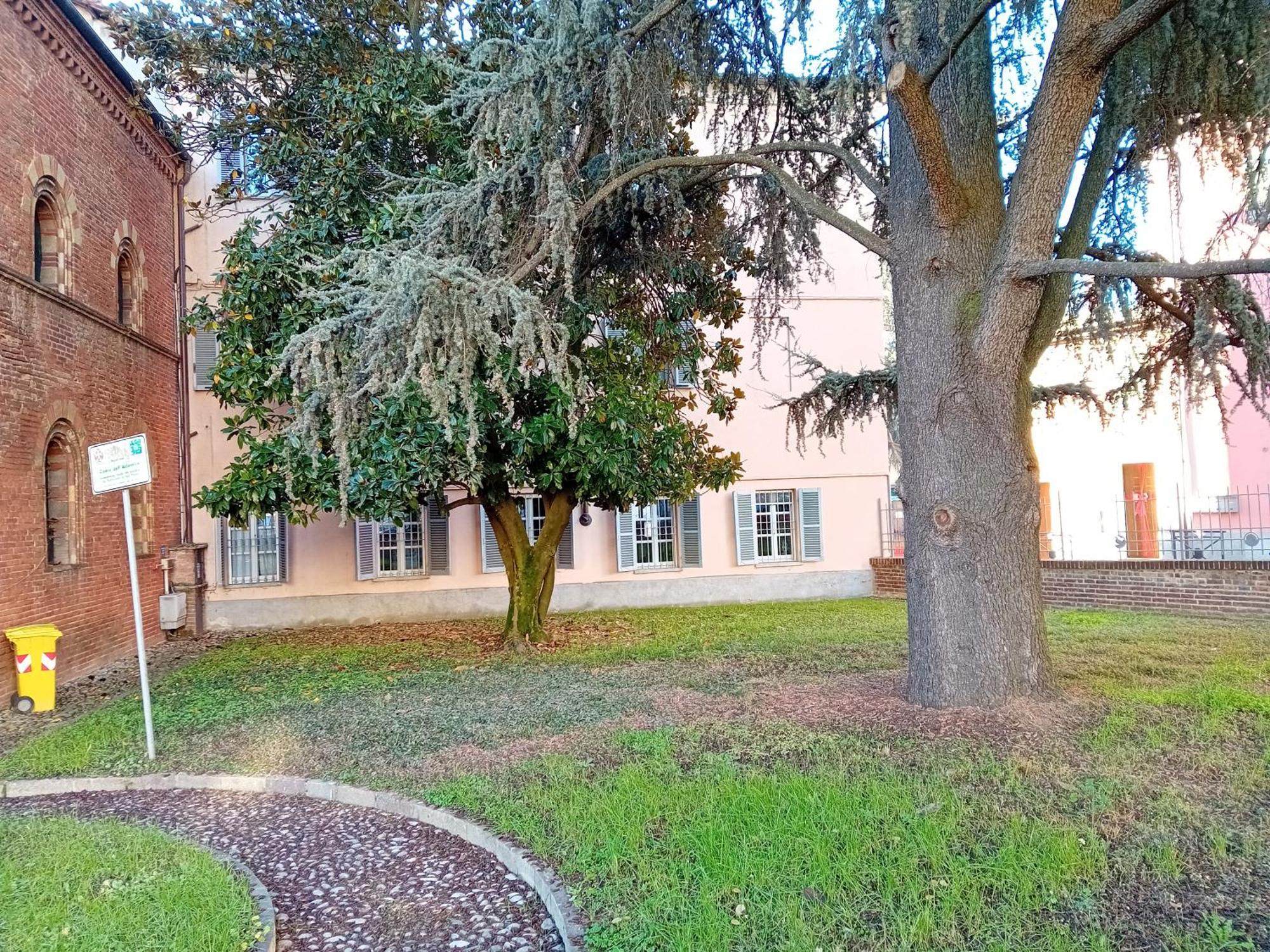 Petite Maison Asti Esterno foto